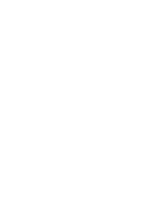 Eivor Systems